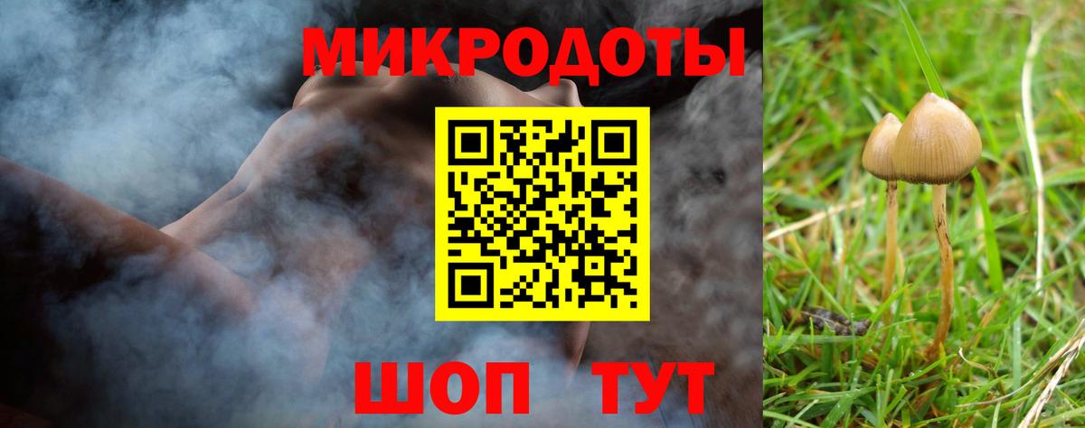 Соль-Илецк  Псилоцибиновые грибы прущие грибы  Вход с VPN 