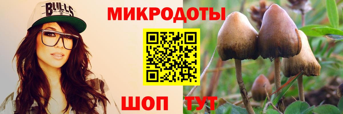 Галлюциногенные грибы мухоморы Соль-Илецк